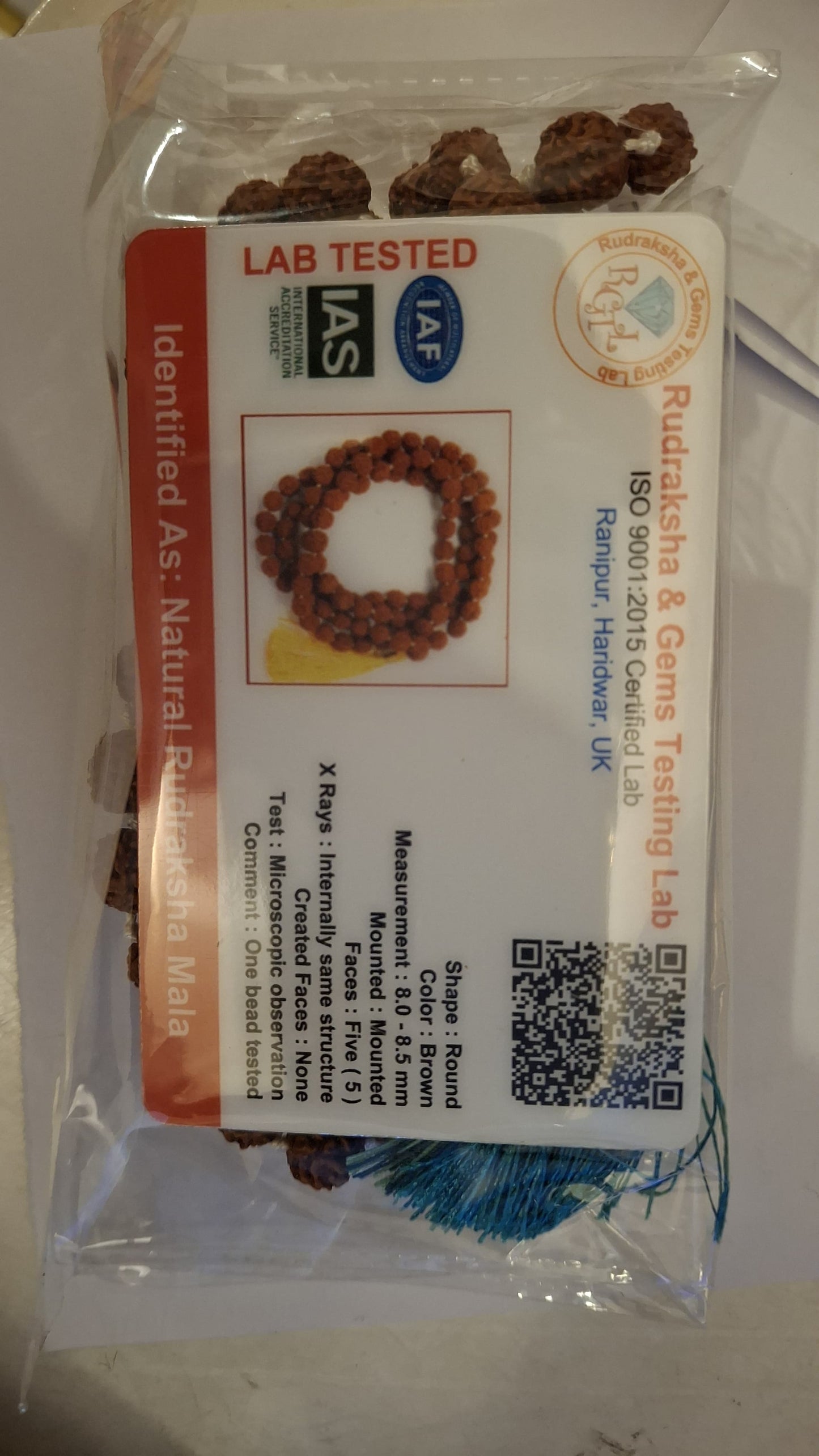 Rudraksha Kriya Mala with Crystal or Pearl Counter Bead (Big Rudraksha)