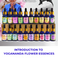 Introduction to Yogananda Flower Essences