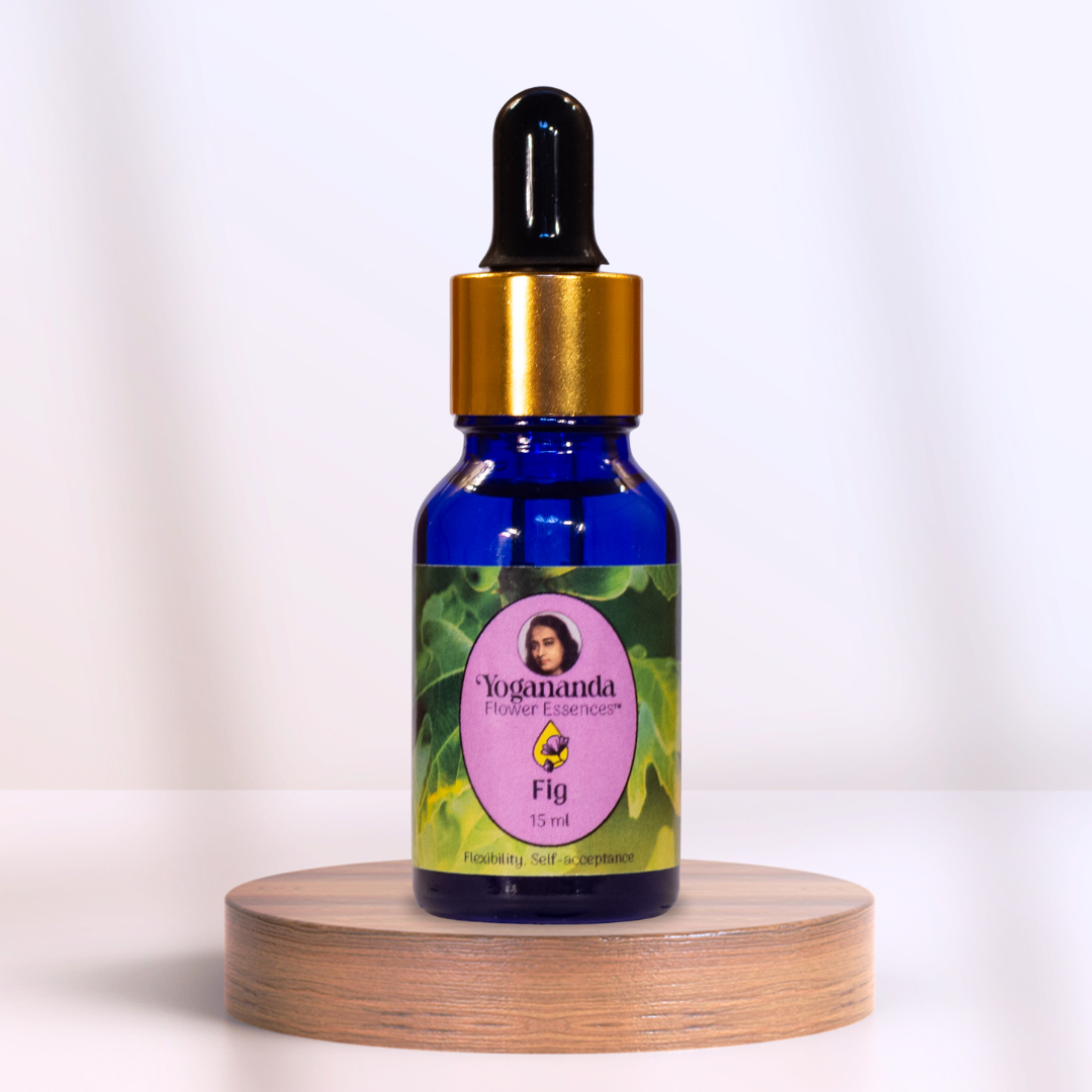 Fig Flower Essence