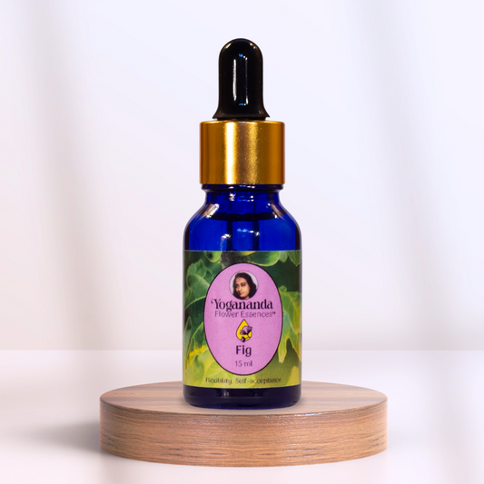 Fig Flower Essence