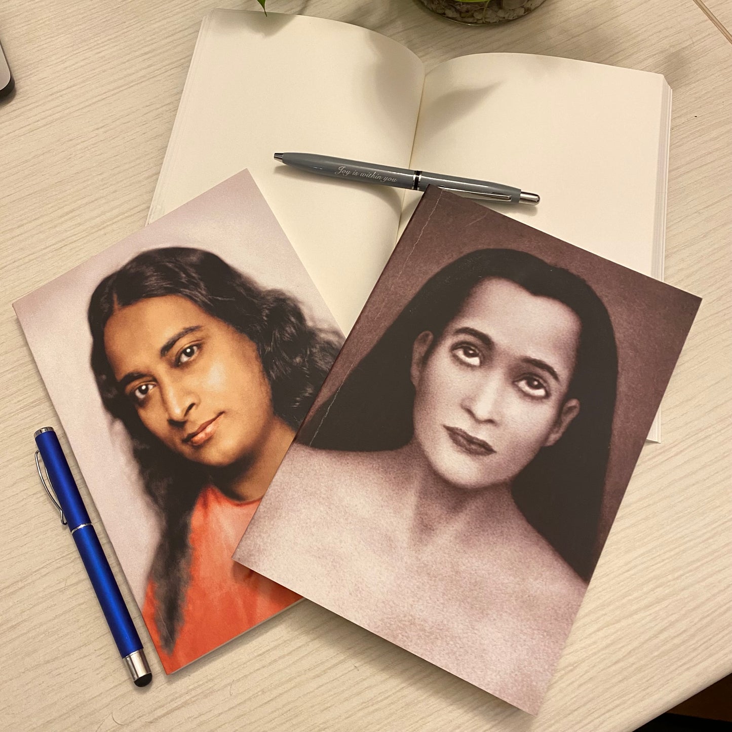 Mahavatar Babaji Diary