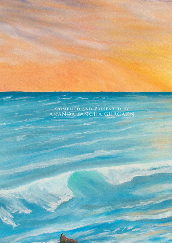 Meditation Born Art -Nayaswami Jyotish