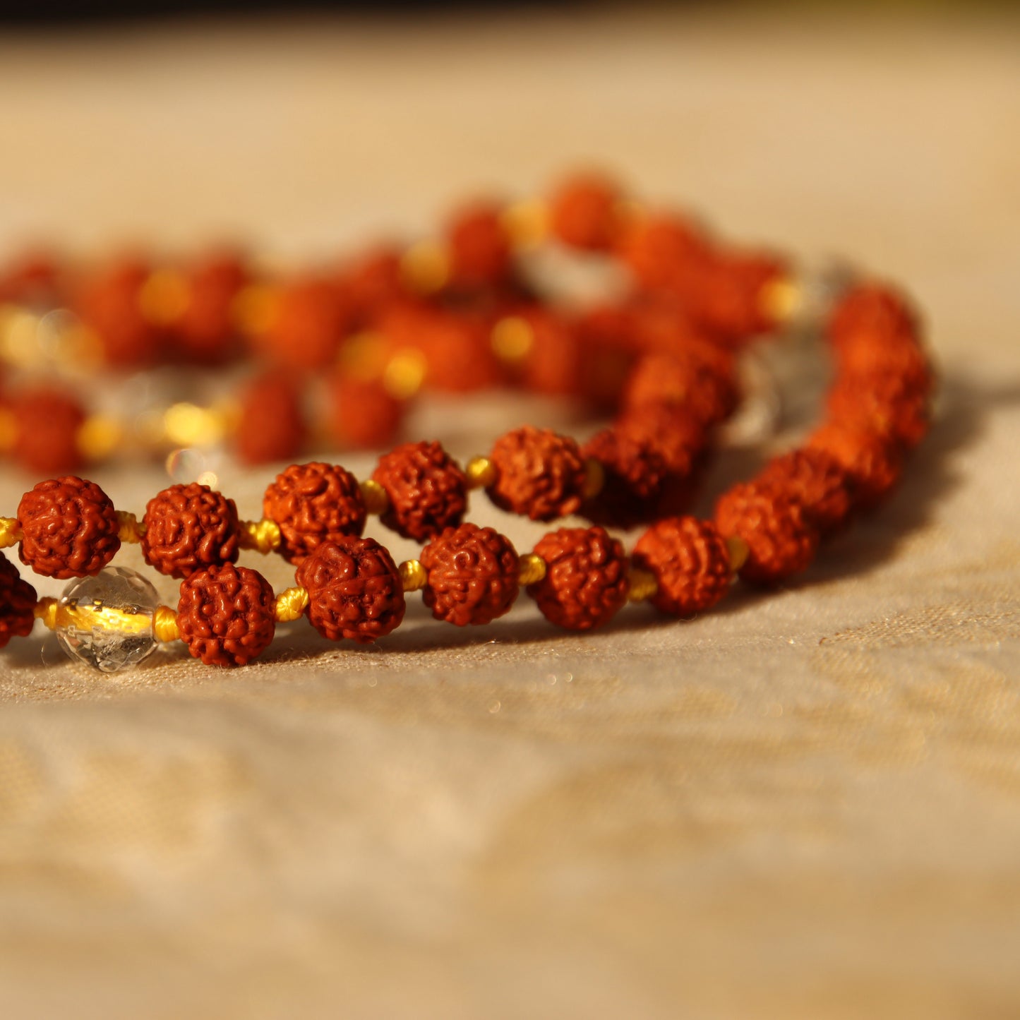 Rudraksha Kriya Mala with Crystal or Pearl Counter Bead (Big Rudraksha)