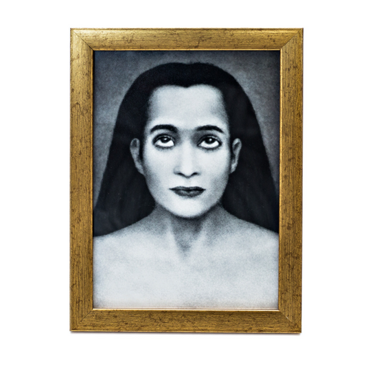 Mahavatar Babaji Framed Photo